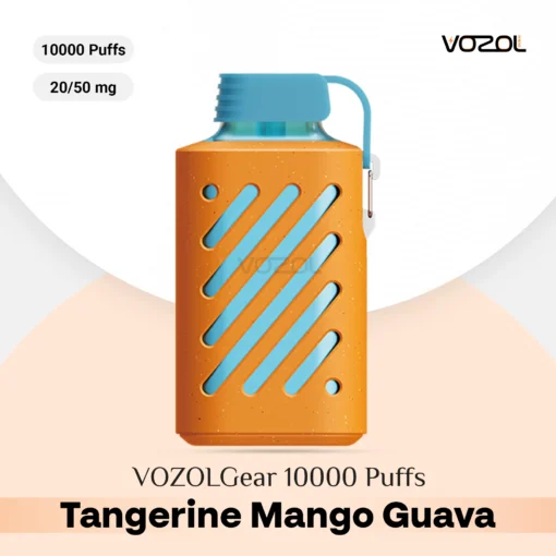 Vozol Gear 10000 İnce Dokunuş Aroma,Puff Bar
